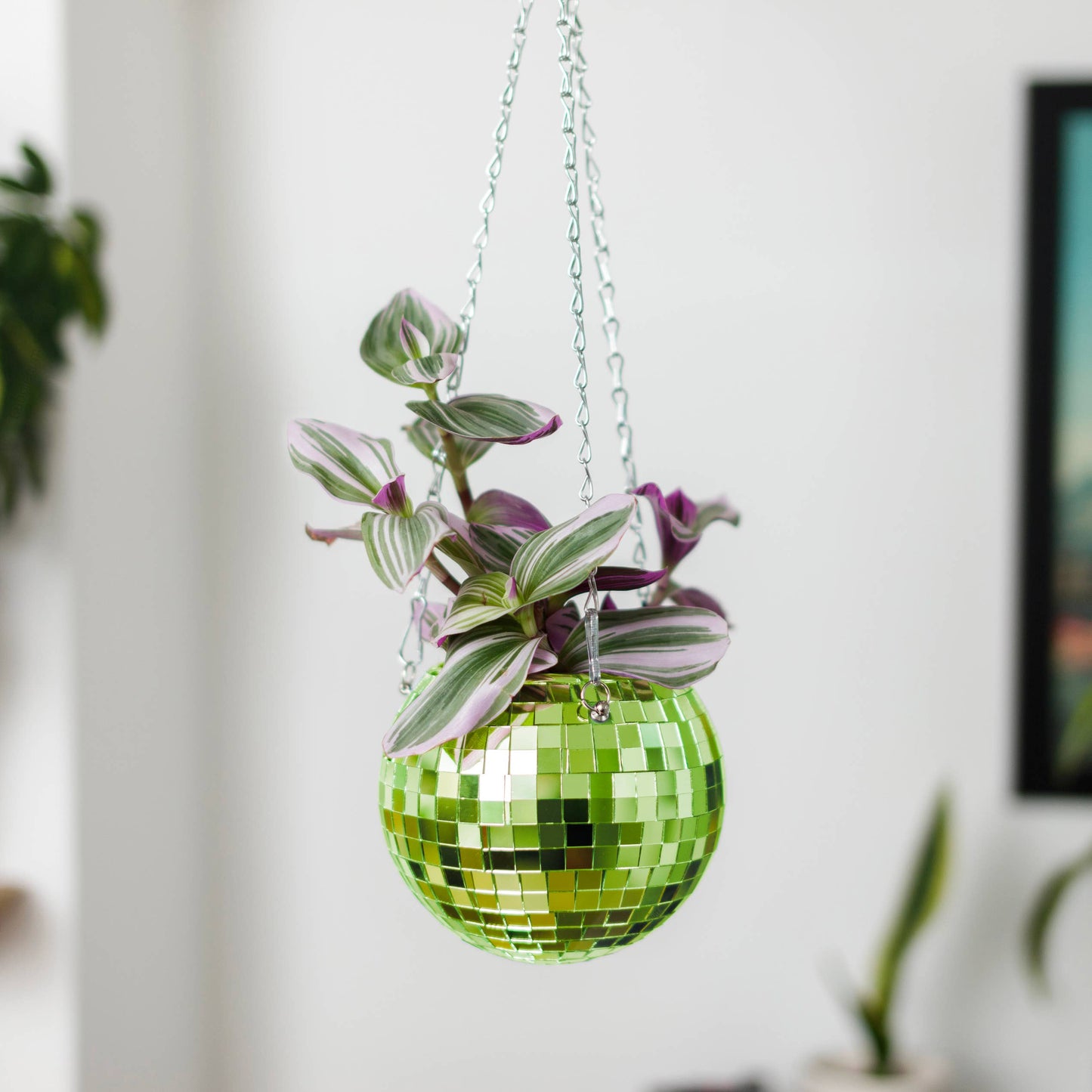 Disco Ball Hanging Planter Green 6-inch | Homeware Gift