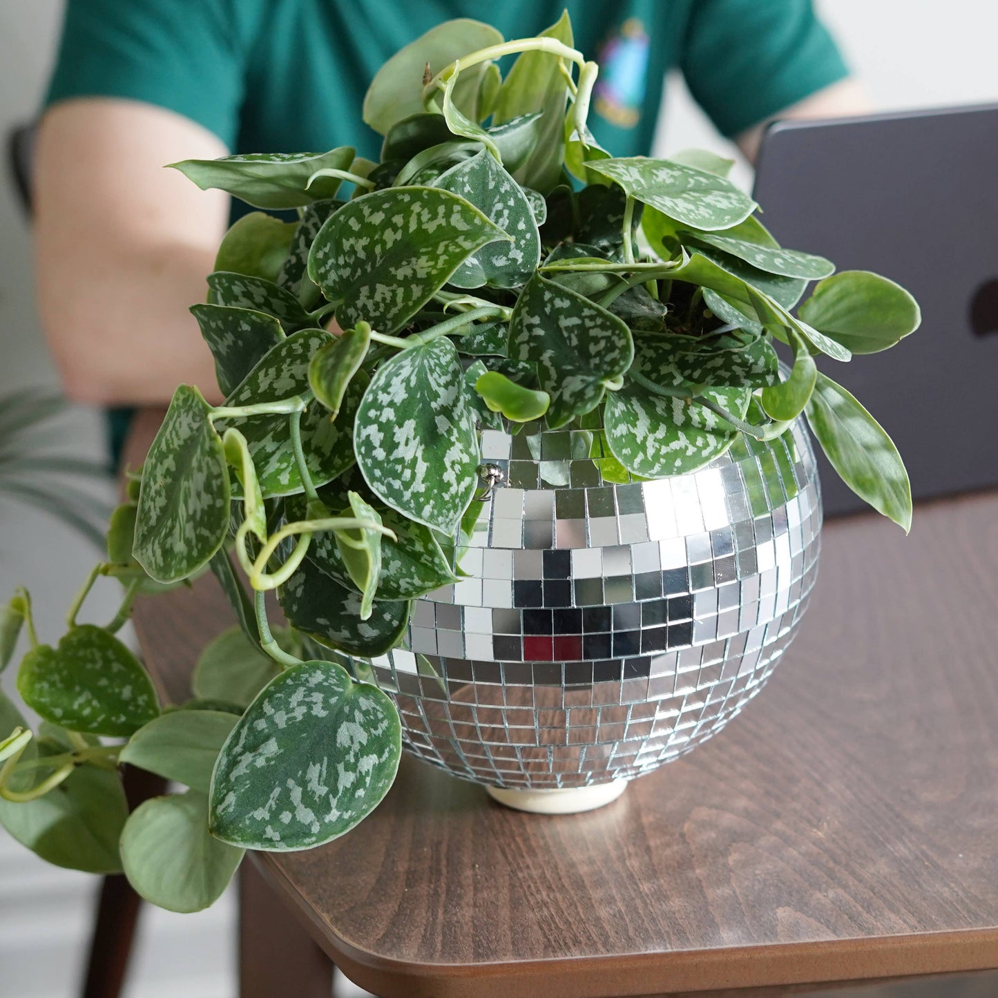 Disco Ball Hanging Planter (8in/20cm)