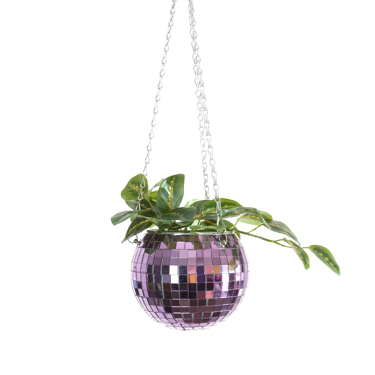 Disco Ball Hanging Planter Lilac 6-inch | Homeware Gift