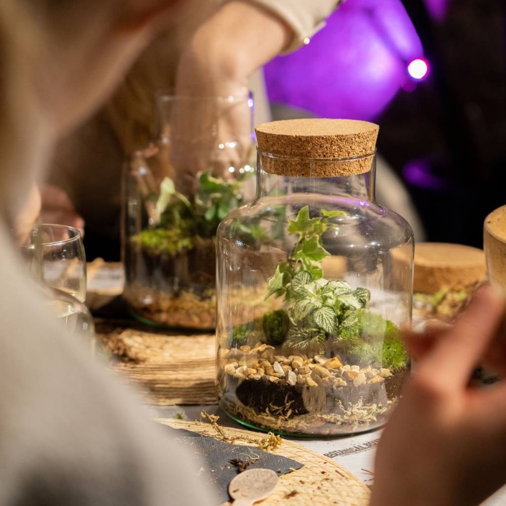 Terrarium Workshops