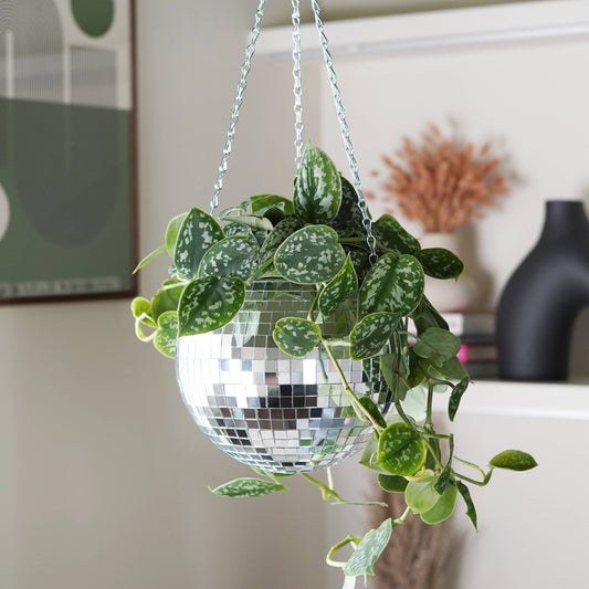 Disco Ball Hanging Planter (8in/20cm)