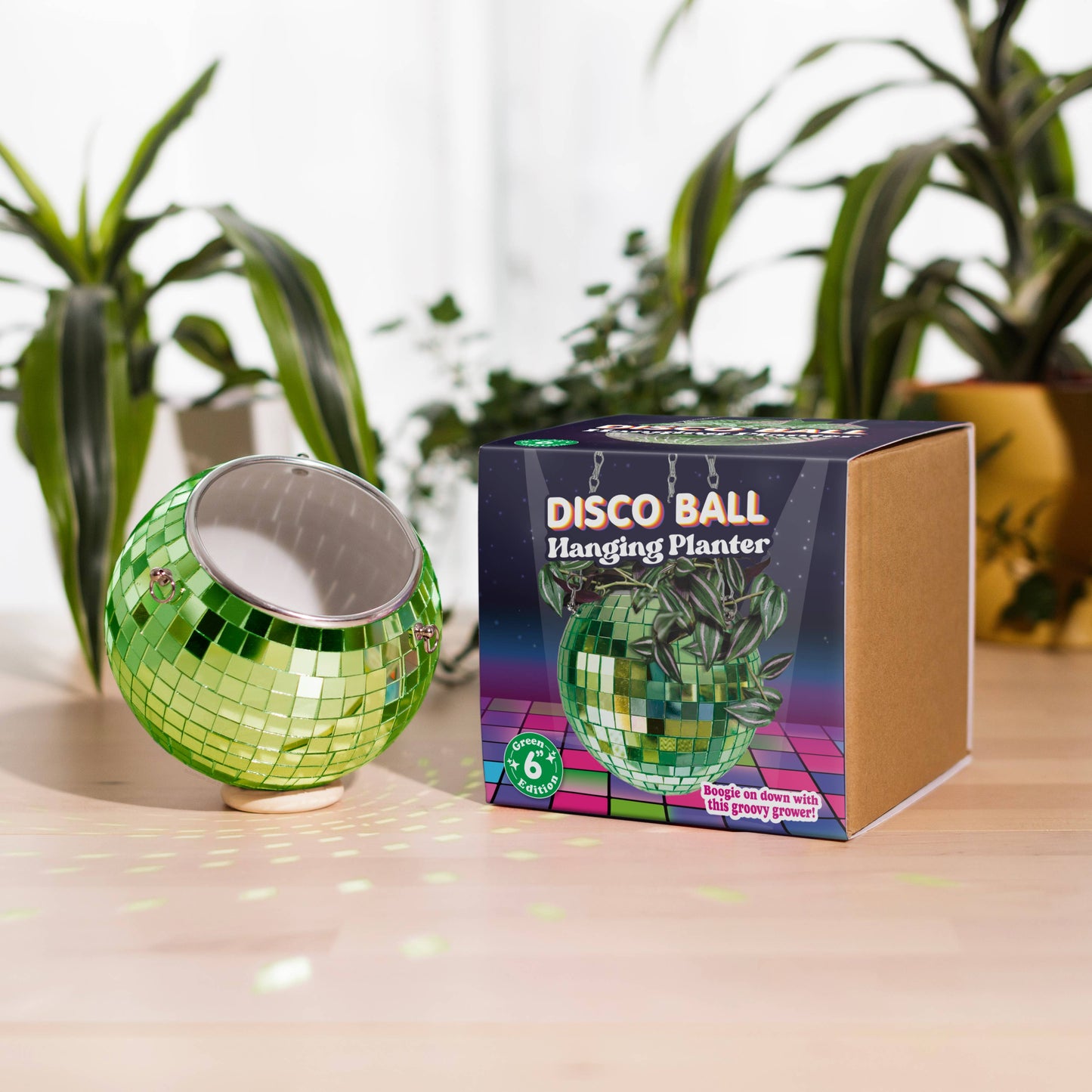 Disco Ball Hanging Planter Green 6-inch | Homeware Gift