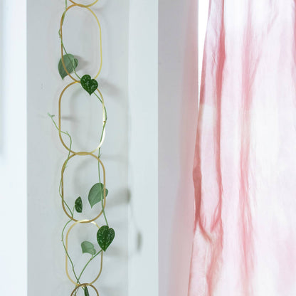 Gold Brass Chain - Plant Support for climbing plants