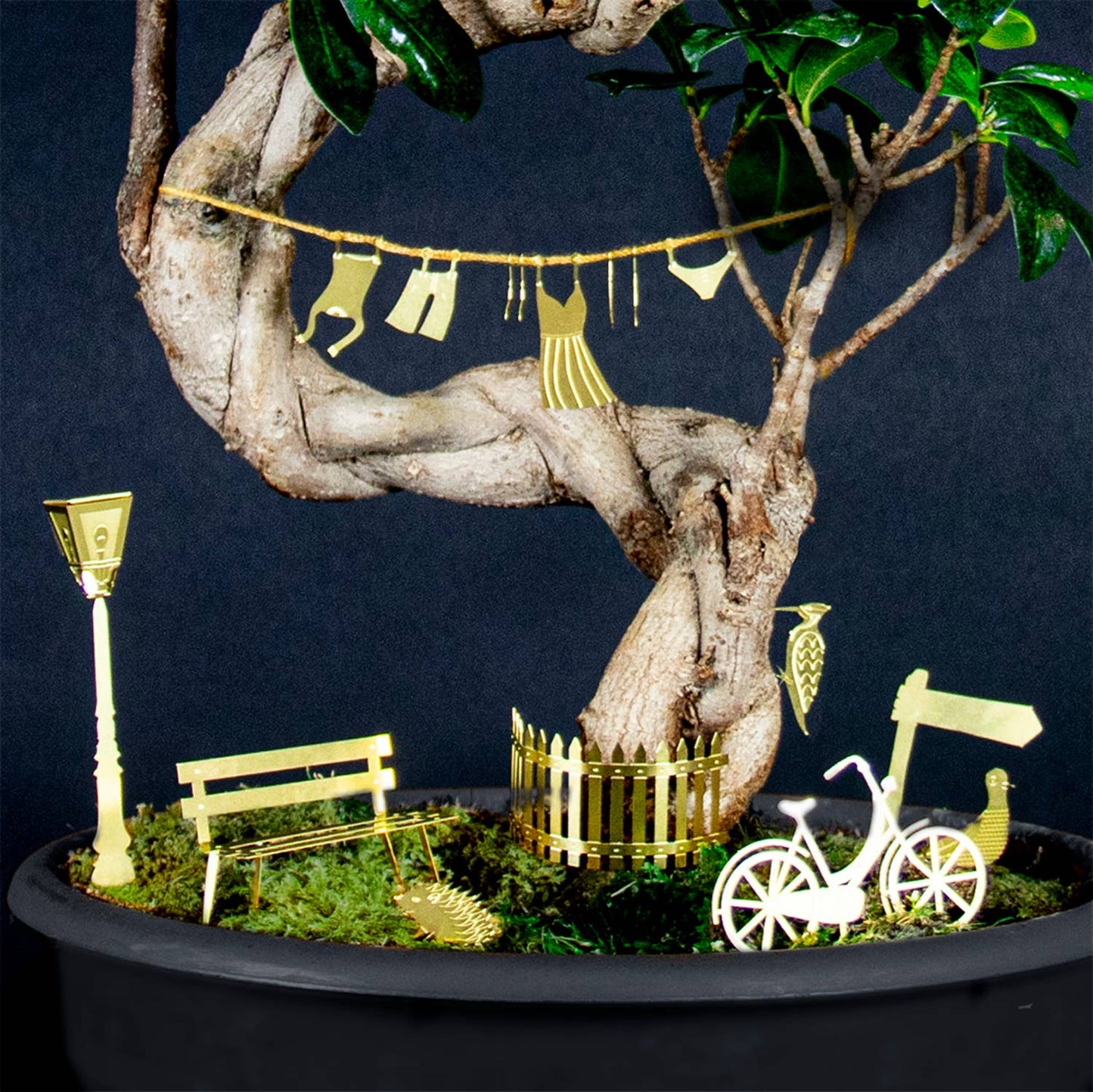 Tiny Bike Adventure for your plants