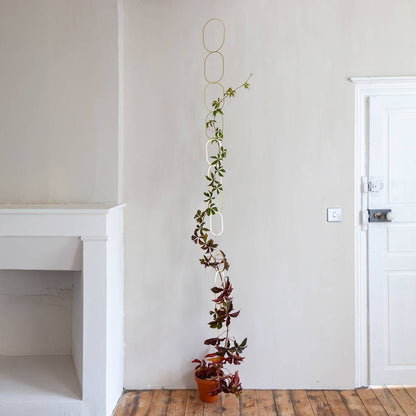 Gold Brass Chain - Plant Support for climbing plants