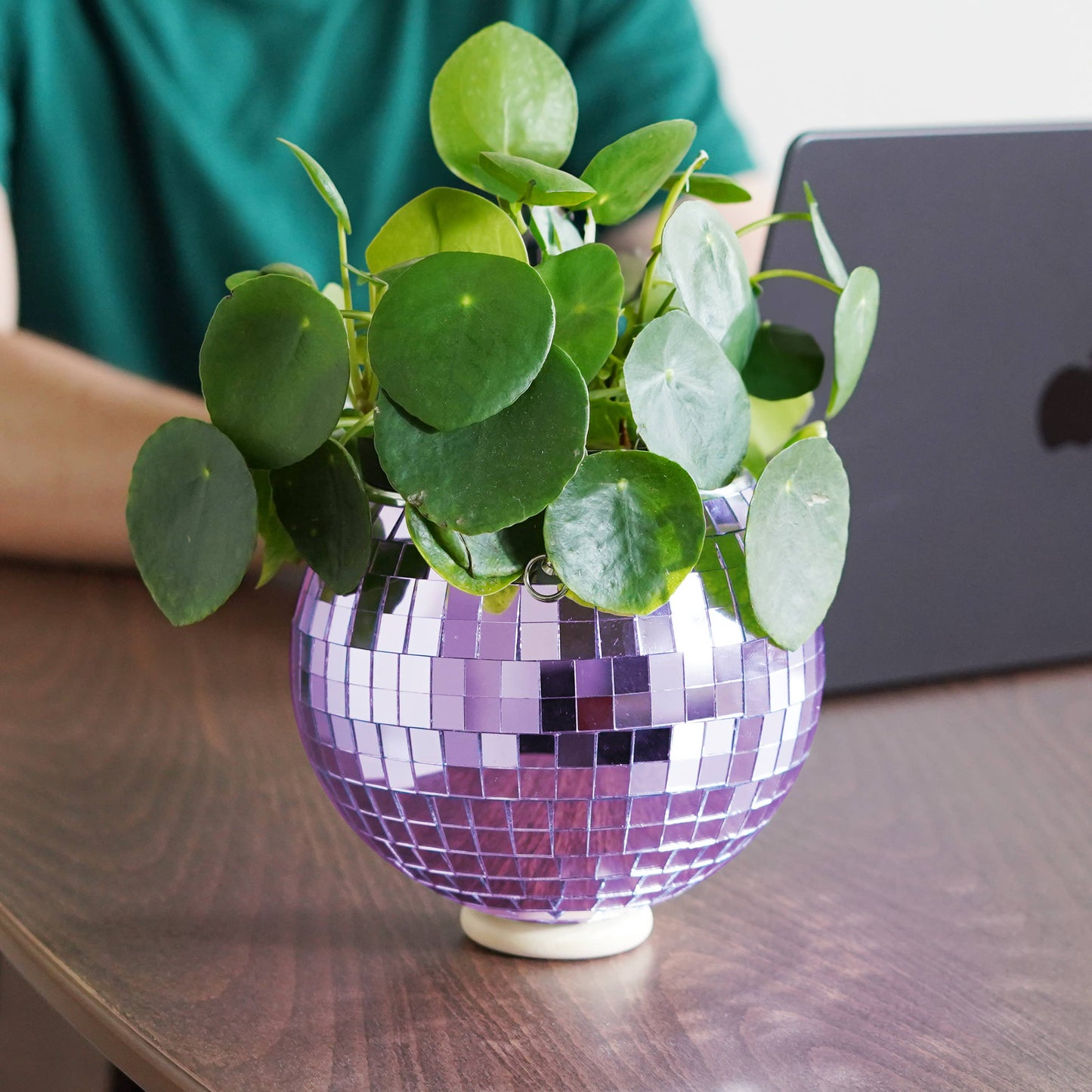 Disco Ball Hanging Planter Lilac 6-inch | Homeware Gift