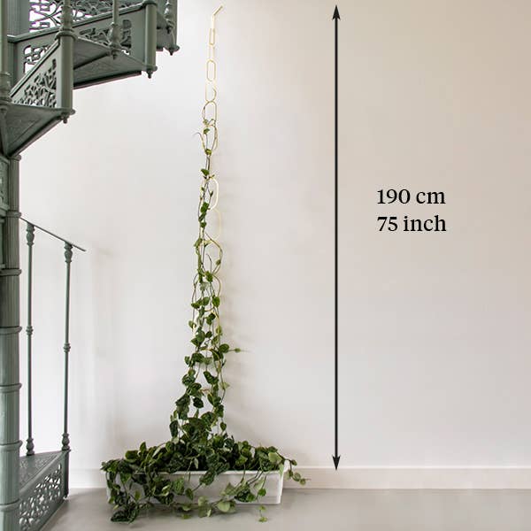 Gold Brass Chain - Plant Support for climbing plants