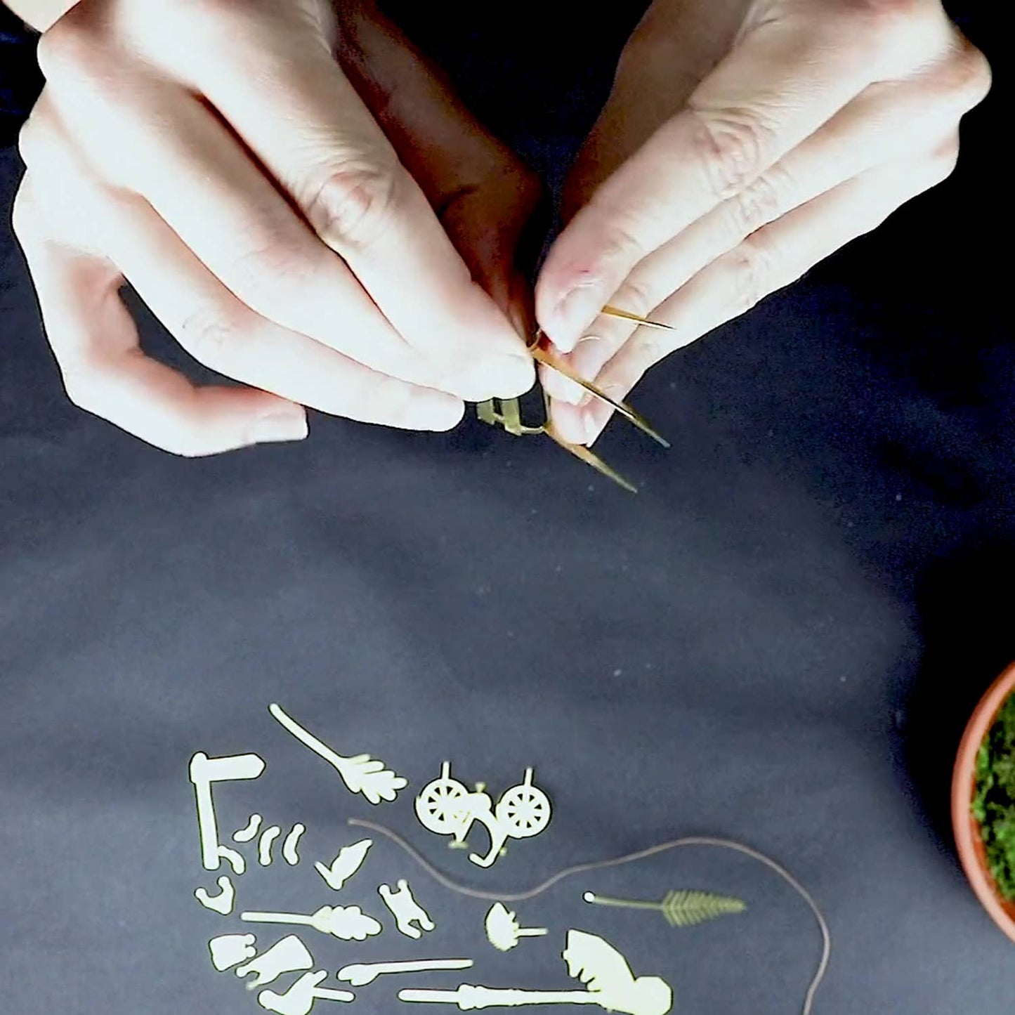 Tiny Bike Adventure for your plants