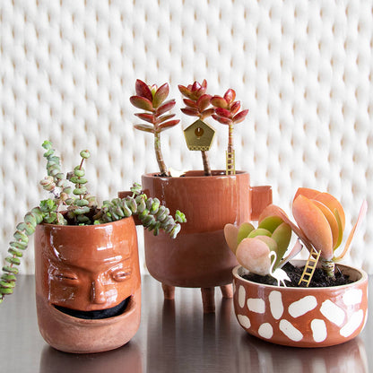 Tiny Birdhouse for your plants