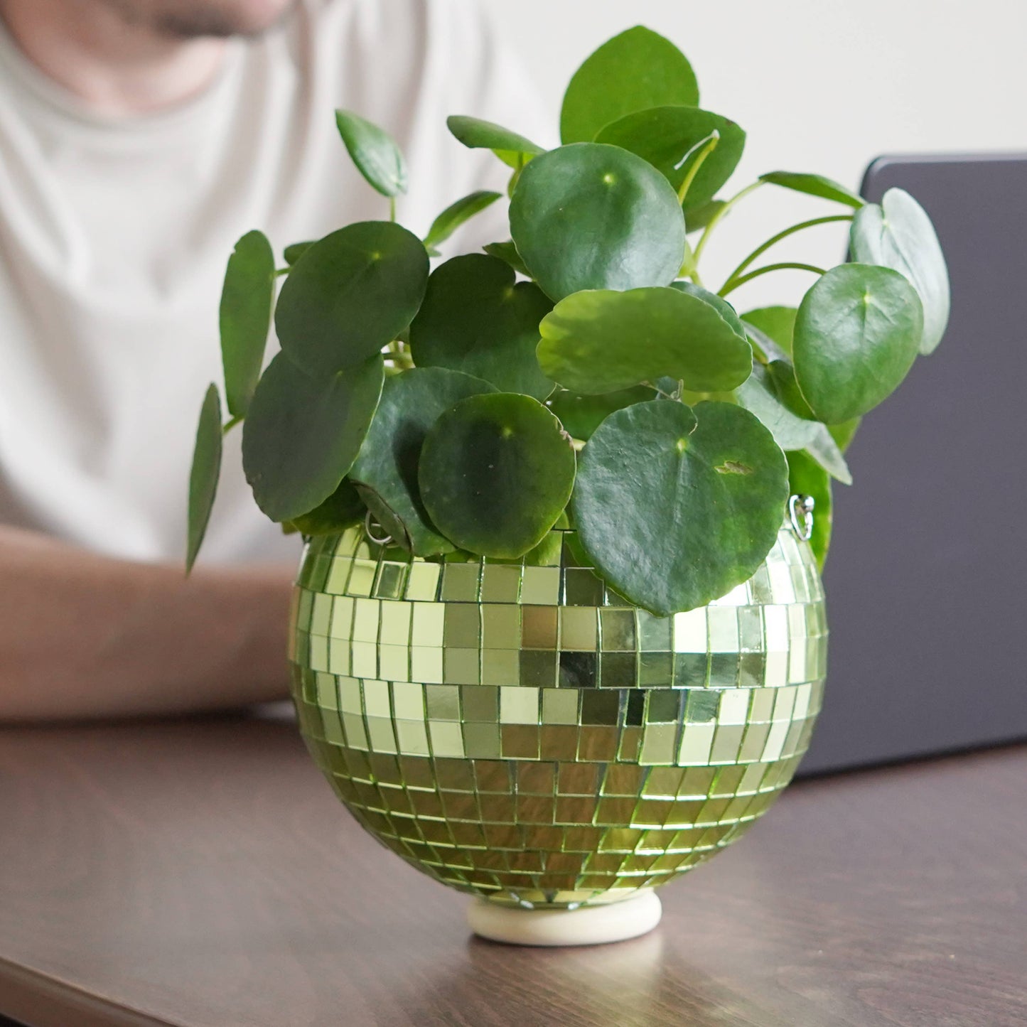 Disco Ball Hanging Planter Green 6-inch | Homeware Gift