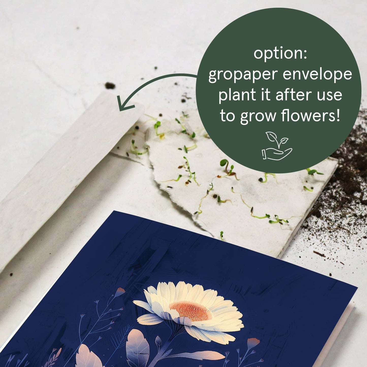 Daisy | Everyday Greeting Card | birth month flower birthday: Kraft paper