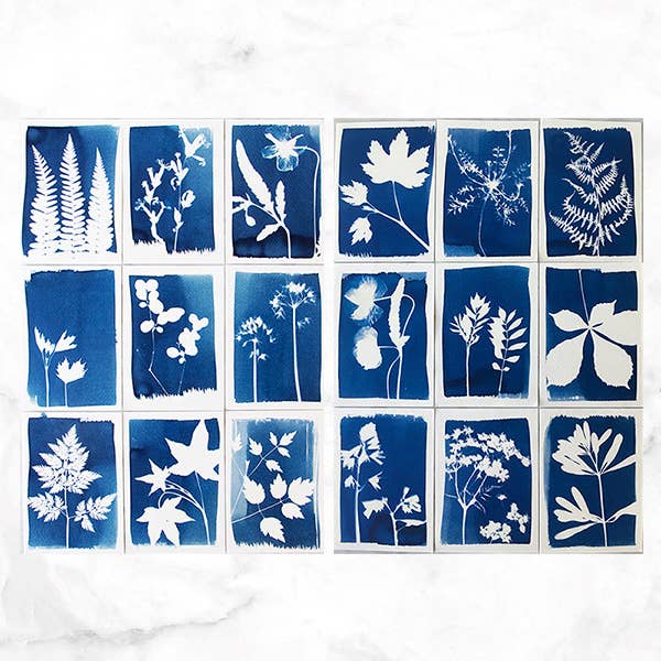 Cyanotype Kit – DIY kit to make your own blueprints