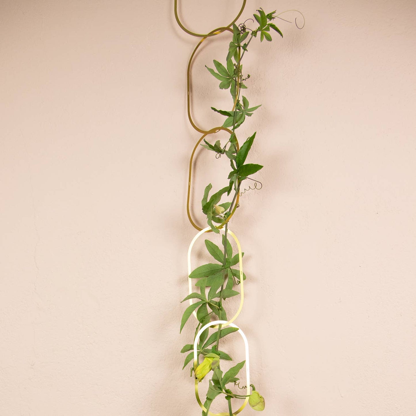 Gold Brass Chain - Plant Support for climbing plants