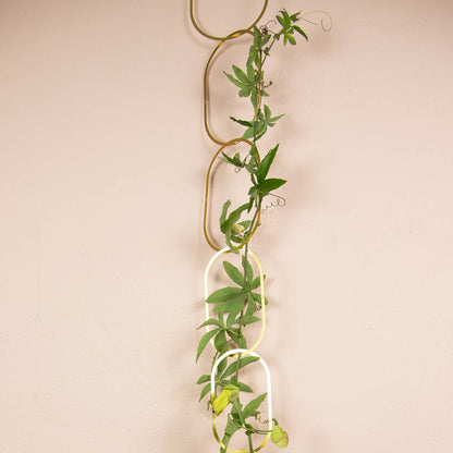 Gold Brass Chain - Plant Support for climbing plants