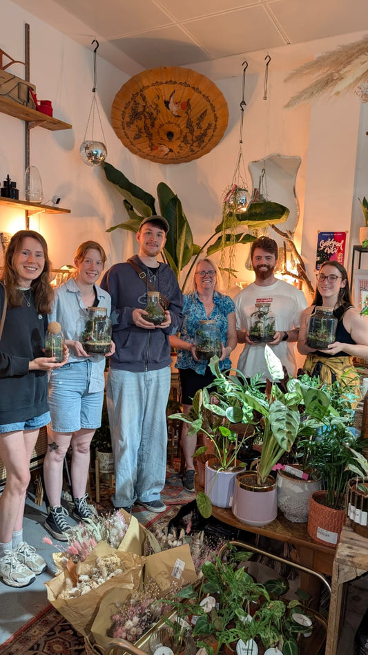 Terrarium Workshops